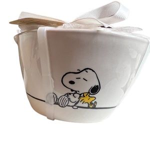 Peanuts in collaboration with Rae Dunn set of 4 measuring cup set. NWT.